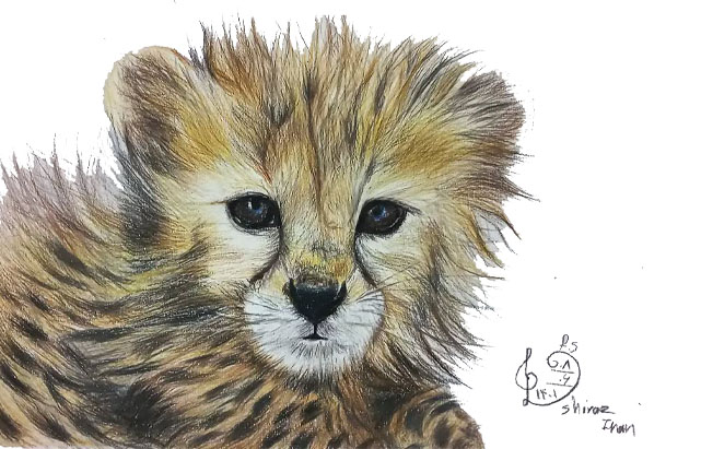 آموزش مجازی
